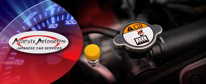 Radiator Coolant Flush